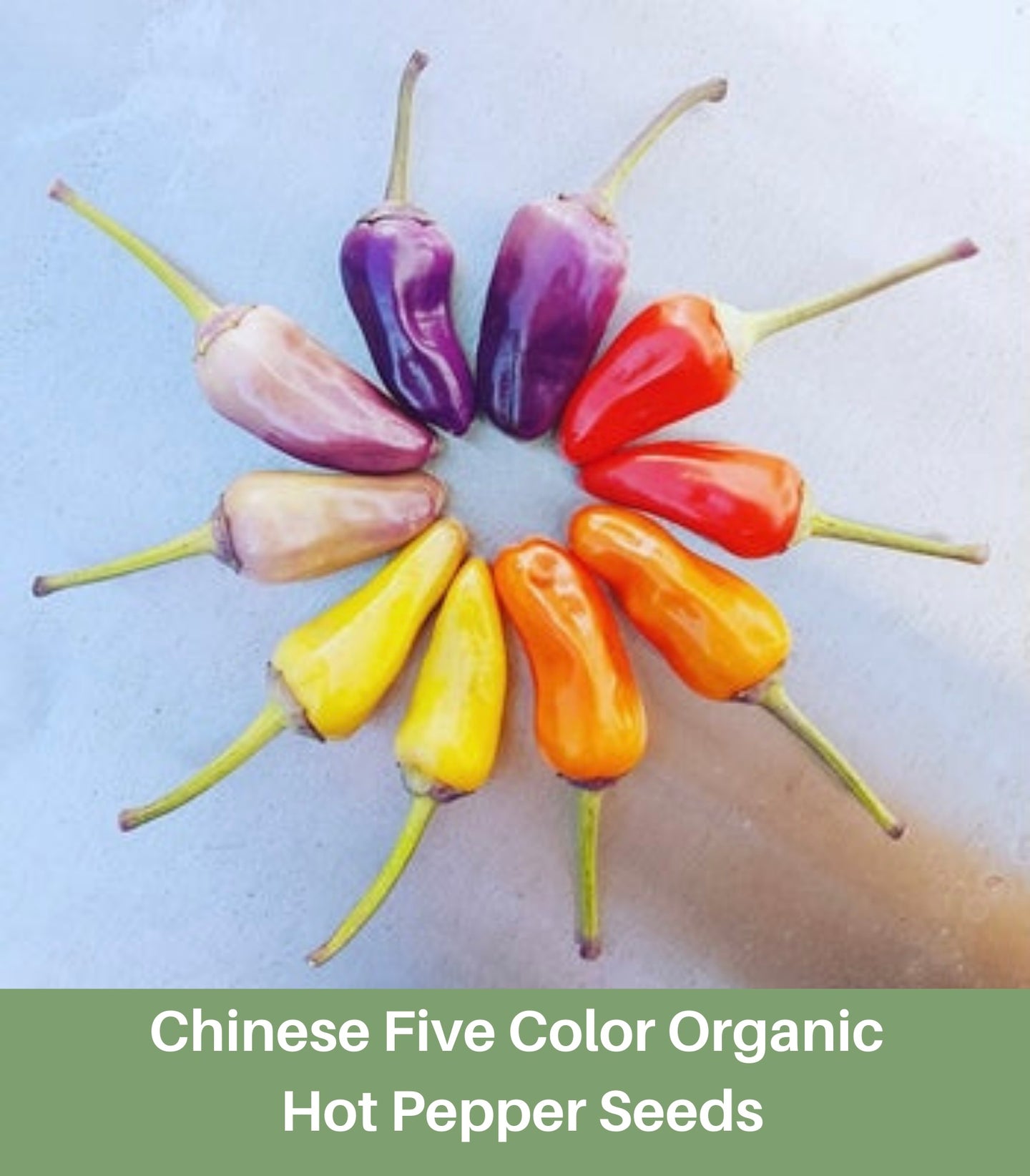 Heirloom Chinese Five Color Organic Hot Pepper Seeds
