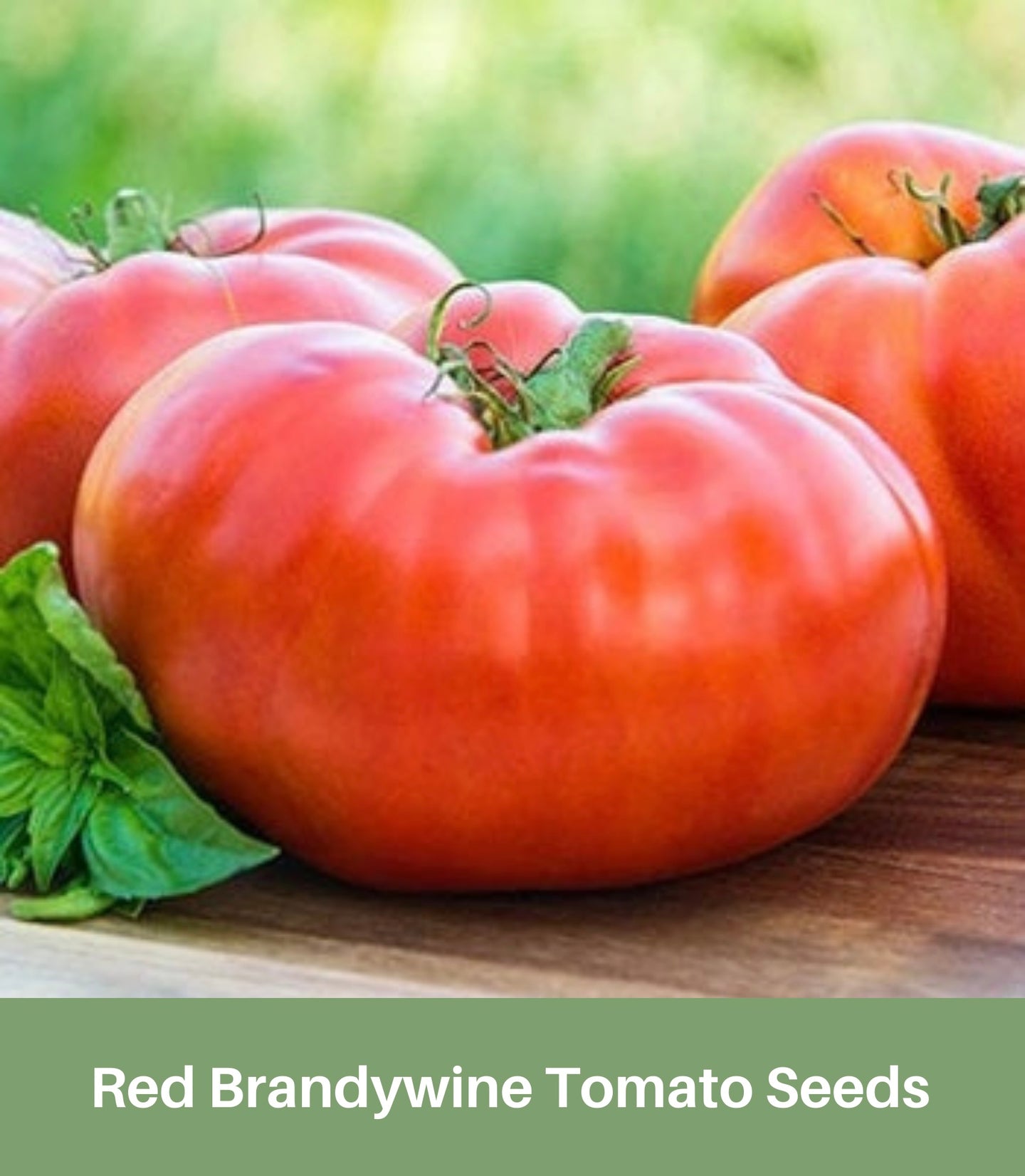 Heirloom Red Brandywine Tomato Seeds, Non Gmo, Organic,