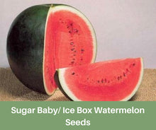 Load image into Gallery viewer, Sugar Baby Watermelon Seeds, Heirloom Seeds, Ice Box Melon, Organic, USA, Small Melons

