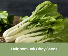 Load image into Gallery viewer, Heirloom Bok Choy Seeds, Organic, Non Gmo,
