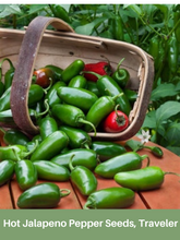 Load image into Gallery viewer, Heirloom Hot Jalapeno Pepper Seeds, Traveler
