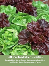 Load image into Gallery viewer, Lettuce Seed Mix, 8 varieties, Heirloom, Organic
