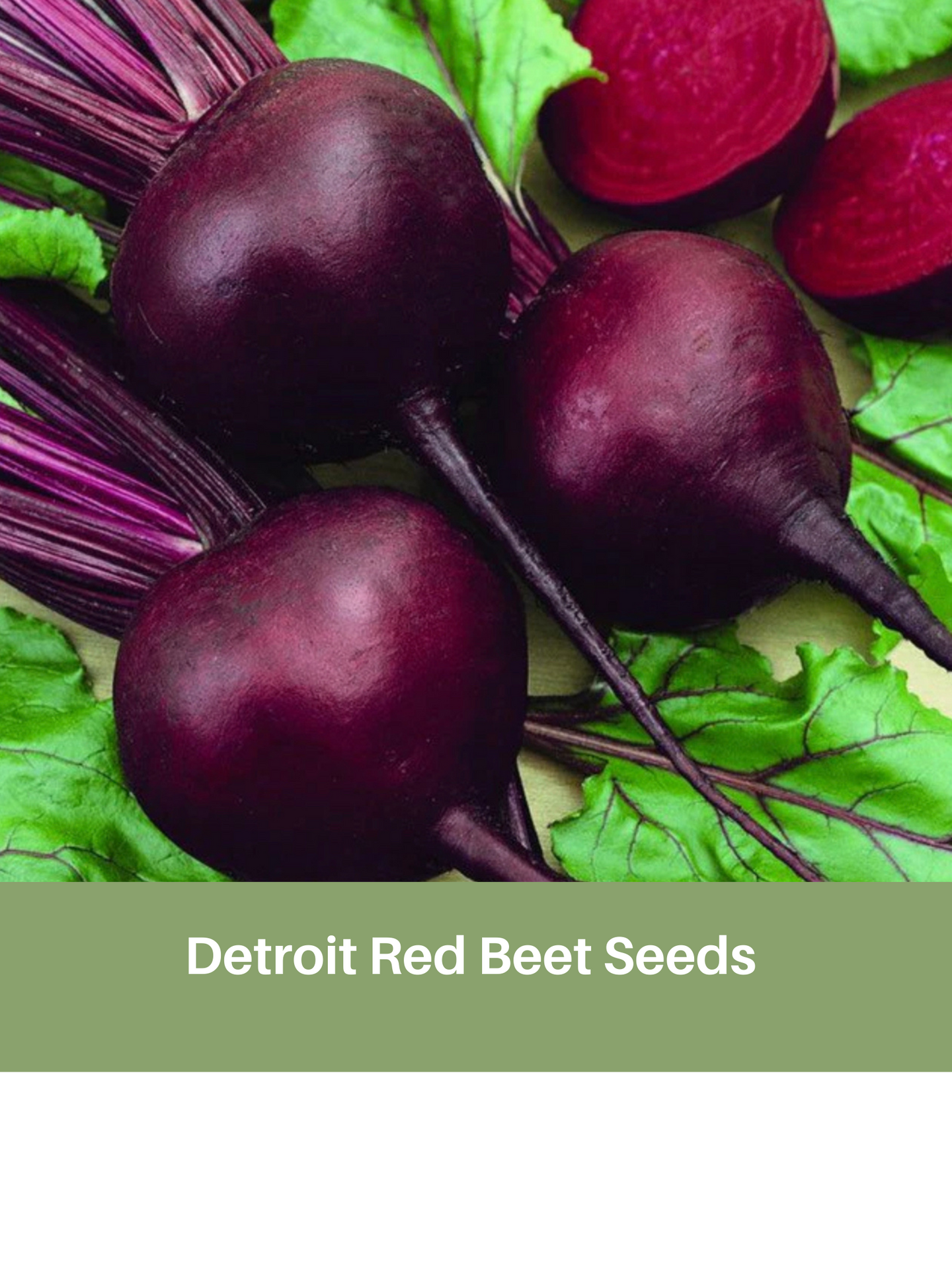 Heirloom Dark Red Beet Seeds, Organic, Non Gmo