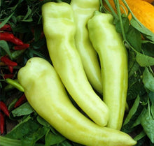 Load image into Gallery viewer, Banana Peppers
