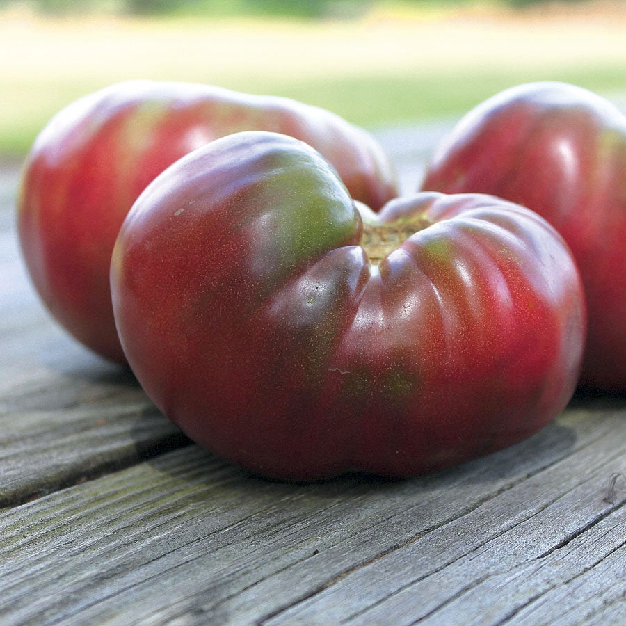 Buy Online High Quality Heirloom Cherokee Purple Tomato Seeds | Buy Rare, And Extraordinary Heirloom Seeds - Seeds to Cherish