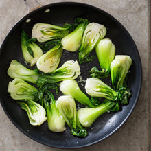 Load image into Gallery viewer, Buy Online High Quality Heirloom Bok Choy Seeds, Organic, Non Gmo | Buy Rare, And Extraordinary Heirloom Seeds - Seeds to Cherish
