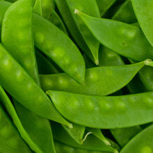 Load image into Gallery viewer, Buy Online High Quality Heirloom Oregon Giant Snow Peas Seeds, Organic, Non Gmo | Buy Rare, And Extraordinary Heirloom Seeds - Seeds to Cherish
