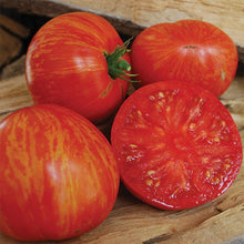 Load image into Gallery viewer, Buy Online High Quality Heirloom Solar Flare Tomato Seeds, Organic, Non Gmo, USA, Indeterminate Does Well in Heat | Buy Rare, And Extraordinary Heirloom Seeds - Seeds to Cherish
