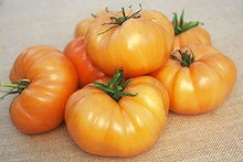 Load image into Gallery viewer, Buy Online High Quality Kelloggs Breakfast, Tomato Seeds Heirloom | Buy Rare, And Extraordinary Heirloom Seeds - Seeds to Cherish

