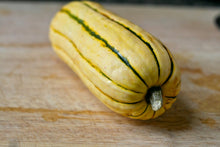 Load image into Gallery viewer, Buy Online High Quality Heirloom Delicata Squash Seed, Non Gmo, Organic USA, Similar Taste to a Sweet Potato | Buy Rare, And Extraordinary Heirloom Seeds - Seeds to Cherish
