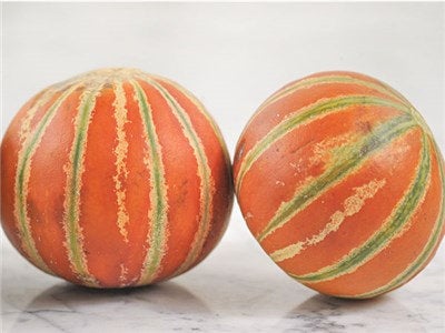 Buy Online High Quality Kajari Melon Seeds, Rare Heirloom | Buy Rare, And Extraordinary Heirloom Seeds - Seeds to Cherish