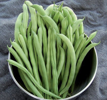 Load image into Gallery viewer, Buy Online High Quality Bean Seeds, Kentucky Wonder, Pole Bean Seeds | Buy Rare, And Extraordinary Heirloom Seeds - Seeds to Cherish
