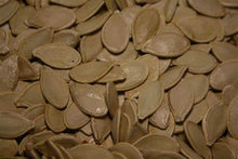 Load image into Gallery viewer, Buy Online High Quality Heirloom, Pumpkin Seeds, Howden | Buy Rare, And Extraordinary Heirloom Seeds - Seeds to Cherish
