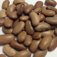 Load image into Gallery viewer, Buy Online High Quality Bean Seeds, Kentucky Wonder, Pole Bean Seeds | Buy Rare, And Extraordinary Heirloom Seeds - Seeds to Cherish
