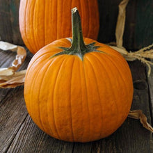 Load image into Gallery viewer, Buy Online High Quality Heirloom Pumpkin Mix Seeds, 3 varieties, | Buy Rare, And Extraordinary Heirloom Seeds - Seeds to Cherish
