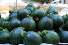 Load image into Gallery viewer, Buy Online High Quality Heirloom Round Tatume Squash Seeds, Zucchini Squash | Buy Rare, And Extraordinary Heirloom Seeds - Seeds to Cherish

