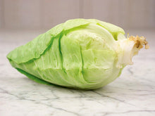 Load image into Gallery viewer, Buy Online High Quality Heirloom Cabbage, Early Jersey Wakefield Seeds | Buy Rare, And Extraordinary Heirloom Seeds - Seeds to Cherish
