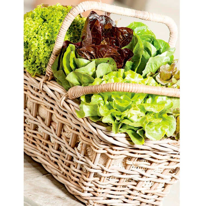vegetable garden seeds online 15 Varieties, Heirloom Vegetable Garden Seed Kit, Organic, Non Gmo