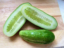 Load image into Gallery viewer, Buy Online High Quality Heirloom Cucumbers, Boston Pickling, Seeds, Organic, Crispy and Delicious | Buy Rare, And Extraordinary Heirloom Seeds - Seeds to Cherish
