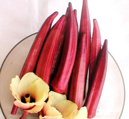 Buy Online High Quality Red Burgundy Okra Seeds, Heirloom | Buy Rare, And Extraordinary Heirloom Seeds - Seeds to Cherish