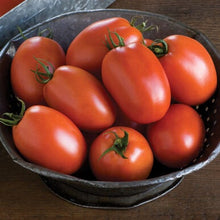 Load image into Gallery viewer, Buy Online High Quality Heirloom Amish Paste Tomato Seeds, Non Gmo, Organic | Buy Rare, And Extraordinary Heirloom Seeds - Seeds to Cherish
