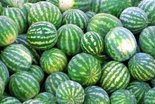 Load image into Gallery viewer, Buy Online High Quality Heirloom Sweet Watermelon Seeds - Crimson Sweet Organic and Non Gmo Red and Juicy Sweet | Buy Rare, And Extraordinary Heirloom Seeds - Seeds to Cherish
