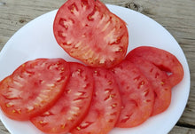 Load image into Gallery viewer, Buy Online High Quality Heirloom Hungarian Heart Tomato Seeds, | Buy Rare, And Extraordinary Heirloom Seeds - Seeds to Cherish
