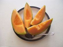 Load image into Gallery viewer, Buy Online High Quality Heirloom Cantaloupe Sweet Passion Seeds Super Sweet | Buy Rare, And Extraordinary Heirloom Seeds - Seeds to Cherish
