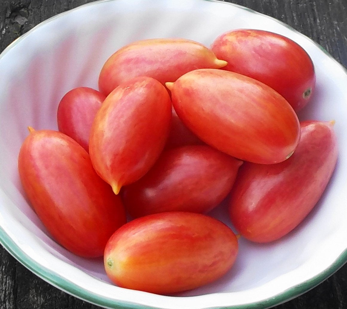 tomato seeds rosada Artisan Maglia Rosa Tomato Seeds
