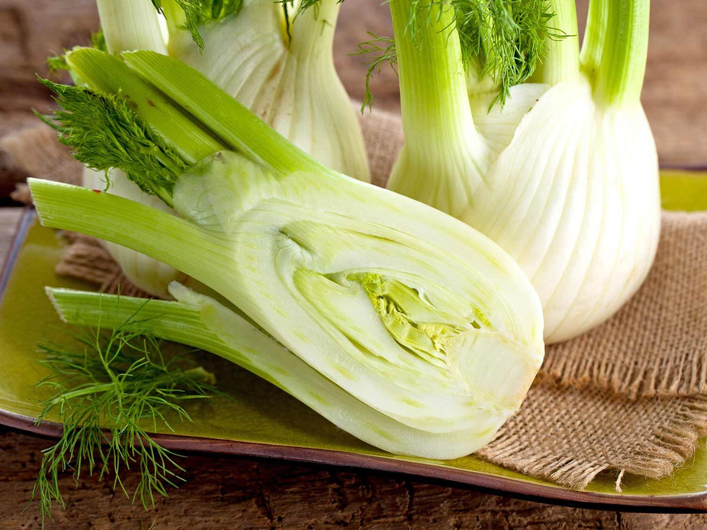 200 Florence Fennel Heirloom Seeds, Heirloom, Non Gmo, Organic