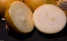 Load image into Gallery viewer, Texas Early Grano Onion Seeds Allium Cepa Non Gmo Organic Vegetable Seeds
