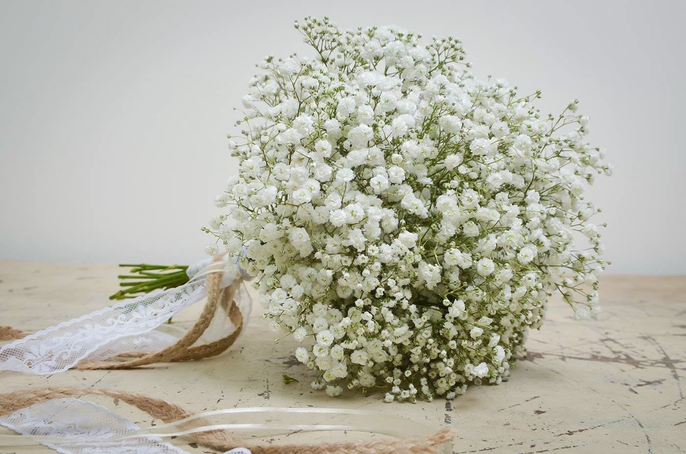 baby's breath flower seeds Baby's breath flower seeds