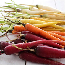 Load image into Gallery viewer, Buy Online High Quality Rainbow Carrot Mix Seeds | Buy Rare, And Extraordinary Heirloom Seeds - Seeds to Cherish
